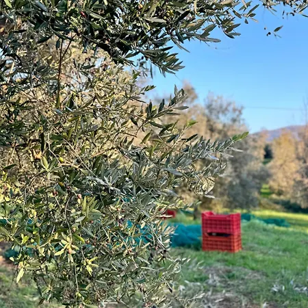 بيت للعطل Podere Il Casone